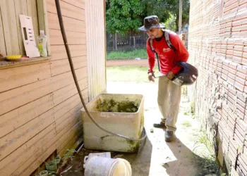 Ações da prefeitura reduzem casos de dengue em Rio Branco
