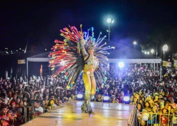Fundação Garibaldi Brasil abre editais para os concursos de Blocos e Realeza de Carnaval