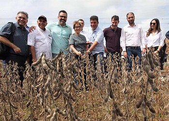 Em visita à plantação de soja na BR-364, ministra da Agricultura diz que ‘Acre acordou para o mundo’