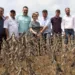 Em visita à plantação de soja na BR-364, ministra da Agricultura diz que ‘Acre acordou para o mundo’