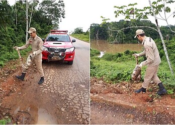 FOTO/ Divulgação bombeiros