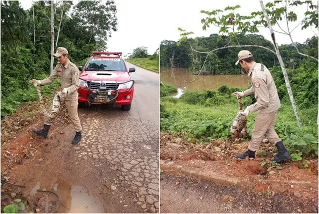 FOTO/ Divulgação bombeiros