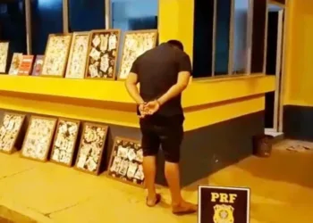 Homem é preso com 16 kg de cloridrato de cocaína em livros e obras de arte