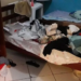 Foto/ Arquivo pessoal