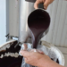 Gladson Cameli veta projeto de lei que sugere criação do Selo do Açaí
