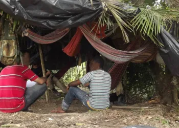 Acre registra 38 trabalhadores em condições semelhantes à escravidão em três fazendas