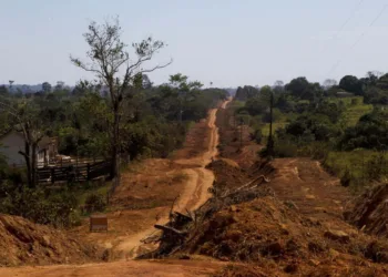 Porto Acre (Acre) Onde não tem estrada, não existe nada. Onde tem estrada, tem riqueza, tem fartura, tem progresso, assim sintetiza o produtor rural Nilton Barrozo de Oliveira ao falar sobre as obras de pavimentação do ramal dos Paulistas, em Porto Acre. A obra está sendo executada pela empresa Bessa Construções e faz parte do programa Ramais do Povo, do Departamento de Estradas e Rodagens (Deracre). 
Nilton Barrozo, 51 anos, mora há 26 anos no ramal que dá acesso ao Projeto de Assentamento Tocantins e revela que viu muitos colegas e colonizadores do ramal morrerem a espera da chegada do progresso àquela região.
Catorze pessoas que começaram a povoar aqui a mais ou menos 30 anos morreram sonhando em ver essa obra acontecer. Um desses que morreram foi meu pai. Nós esperamos esse asfaltamento há anos. Ver isso acontecer hoje, para nós, é motivo de orgulho. Minha mãe com 78 anos vai alcançar a graça de ver isso, meu pai, infelizmente, não alcançou, diz o agricultor.
O produtor rural lamenta que o abandono de gestores públicos do passado tenha impedido o avanço daquela localidade.
Se cada um dos governantes que passaram tivesse feito um pouquinho a gente não estava a 26 anos esperando por isso, observou Barrozo.
O fim das cargas no lombo do boi
Israel José da Silva é produtor rural e mora há 12 anos no ramal dos Paulistas. Ele descreveu como era a vida de quem morava no ramal. 
A gente tinha como trafegar no tempo do verão. No tempo do inverno a gente não tinha como passar. Para escoar a produção tinha que ser no lombo do cavalo, do boi. A gente cansou de ver carro passar dois dias atolados aqui para poder sair. O pessoal do Tocantins passava por um sofrimento enorme porque esse ramal que dá acesso ao projeto de assentamento deles, disse Silva.
O produtor disse ainda que viu muitas famílias precisarem colocar os parentes em lombos de bois e cavalos para chegar a Vila do V em busca de atendimento de saúde.
A libertação dos produtores
Ver chegar esse asfaltamento