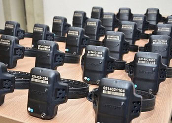 MP/AC pede informações ao Iapen sobre presos do semiaberto sem monitoramento