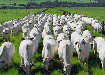 Agricultores reclamam da política de ‘rondonizar’ o Acre e governo se defende