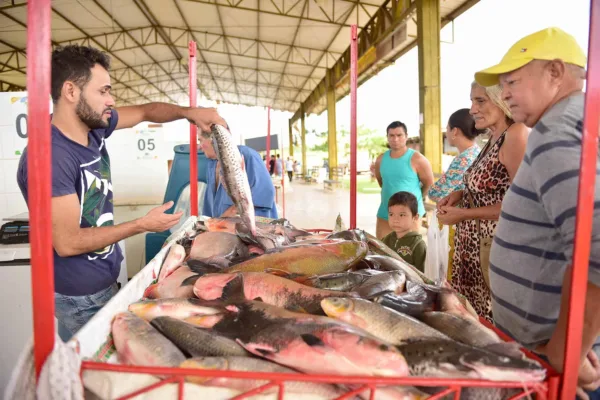 Feira do Peixe e da Agricultura Familiar deve movimentar 420 toneladas de produtos