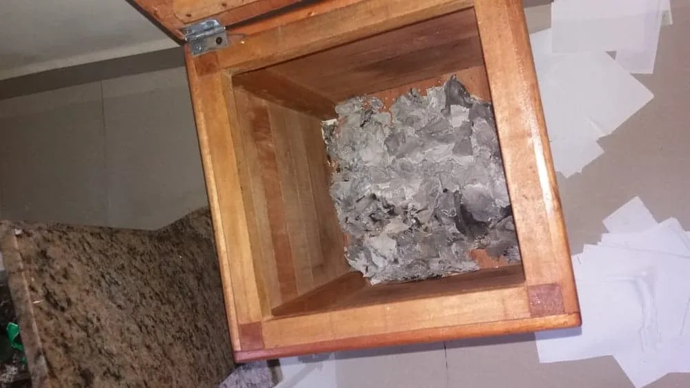 Ladrões invadem igreja no interior do Acre e queimam pedidos de orações em túmulo do padre Paolino — Foto Frei Moisés Coelho Arquivo pessoal