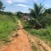 Homem é preso por ter matado o próprio amigo durante conversa no conjunto Universitário