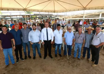 Acre inicia nova etapa de vacinação contra febre aftosa