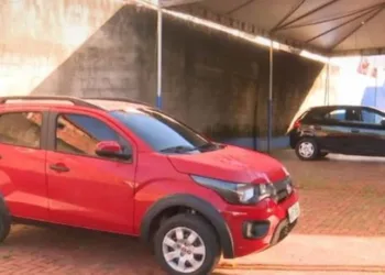 Carros recuperados foram encontrados em outros estados brasileiros e até fora do país — Foto Reprodução