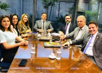 Gladson recebe garantia de apoio de membros da bancada federal para reforma da Previdência