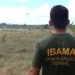 Ibama deve enviar novo pedido de concurso com quase duas mil vagas
