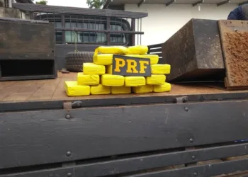 PRF apreende mais de 200 kg de droga nos primeiros meses deste ano