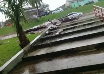 Chuva forte derruba árvores no Dom Giocondo, Sobral e Manoel Julião e cidade sofre com pontos de alagamentos