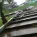 Chuva forte derruba árvores no Dom Giocondo, Sobral e Manoel Julião e cidade sofre com pontos de alagamentos