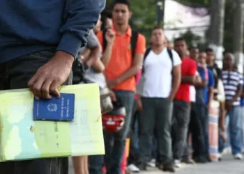 Sine oferta 41 vagas de empregos nesta terça-feira