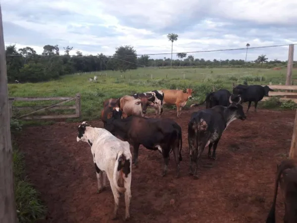 Sicredi é destaque nas liberações de crédito do Pronaf na região Centro Norte