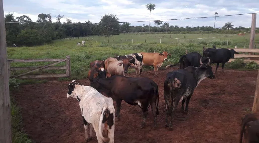 Sicredi é destaque nas liberações de crédito do Pronaf na região Centro Norte