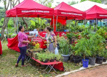Economia Solidária: prefeita Socorro Neri reúne com comissão organizadora da Ecoflores