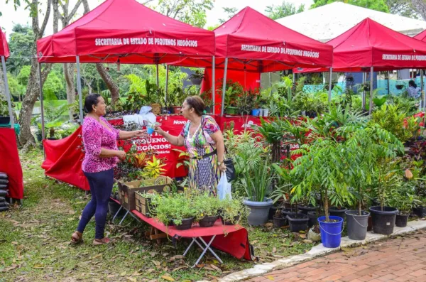 Economia Solidária: prefeita Socorro Neri reúne com comissão organizadora da Ecoflores