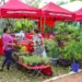 Economia Solidária: prefeita Socorro Neri reúne com comissão organizadora da Ecoflores