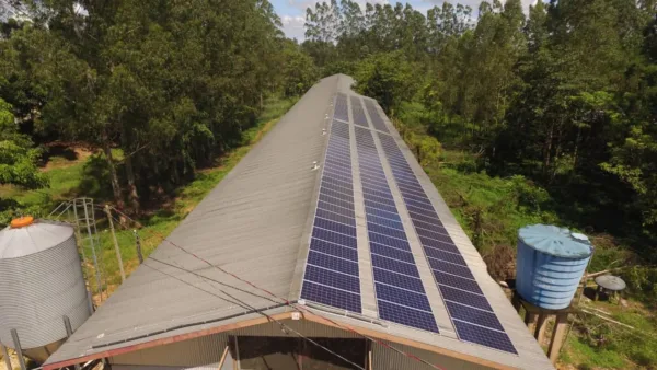 Sicredi libera R$ 40,6 milhões em créditopara projetos de energia solar