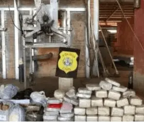 Polícia Civil incinera quase 60 kg de entorpecentes em Cruzeiro do Sul