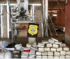 Polícia Civil incinera quase 60 kg de entorpecentes em Cruzeiro do Sul 1 Polícia Civil incinera quase 60 kg de entorpecentes em Cruzeiro do Sul