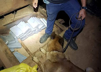 Carga com 60 quilos de cocaína é apreendida pela PF