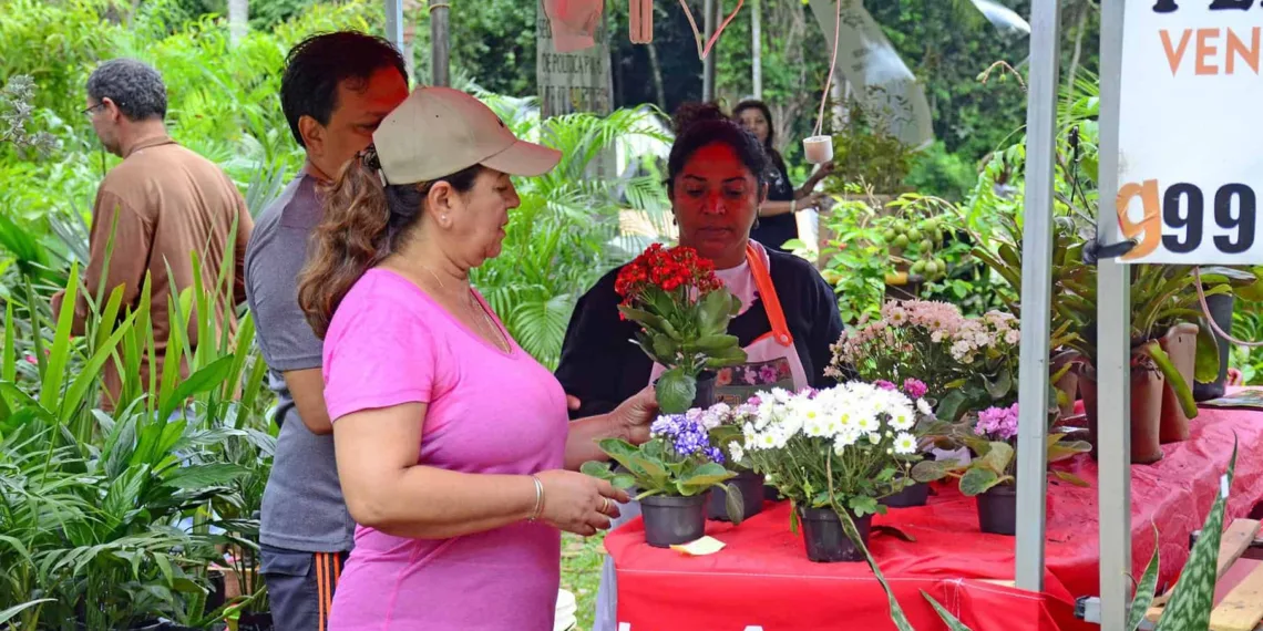 Feira de economia solidária Ecoflores-2019 inicia nesta quinta-feira