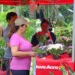 Feira de economia solidária Ecoflores-2019 inicia nesta quinta-feira