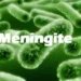 Menino de 1 ano internado com meningite bacteriana tem melhora e sai do isolamento