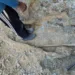 Fóssil de Purussaurus é encontrado por moradores às margens do Rio Acre 