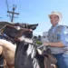 Gladson diz que vai 'arrancar cabeça de burro' de secretários burocratas