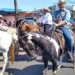 Liderada por Gladson Cameli, Cavalgada reúne empresários do agronegócio