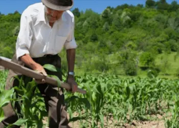 Ifac abre inscrições para pós-graduação em Agricultura Familiar