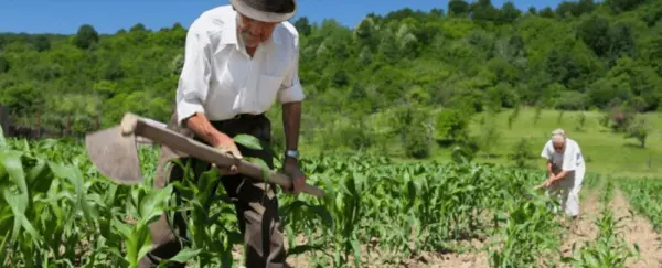 Ifac abre inscrições para pós-graduação em Agricultura Familiar