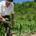 Ifac abre inscrições para pós-graduação em Agricultura Familiar