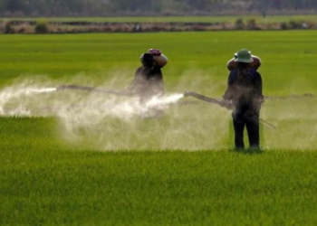 Governo aprova registro de mais 51 agrotóxicos, totalizando 262 no ano