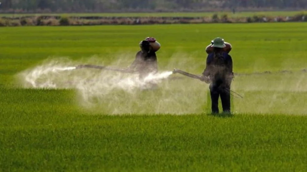 Governo aprova registro de mais 51 agrotóxicos, totalizando 262 no ano