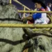 Na Expoacre 2019, Idaf fará acompanhamento sanitário dos animais