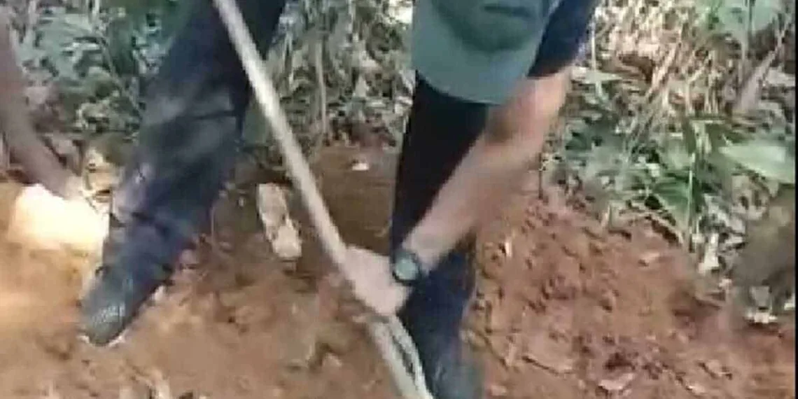 Corpo é encontrado com pernas decepadas e polícia busca familiares
