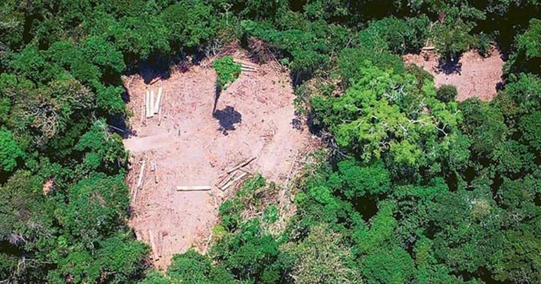 Noruega bloqueia repasses para o Fundo Amazônia