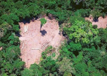 Noruega bloqueia repasses para o Fundo Amazônia