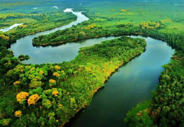 Sema perde mais de R$ 15 milhões com a suspensão de recursos do Fundo Amazônia