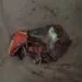 Em Tarauacá, 30 presos tentam fugir de presídio através de buracos em duas celas